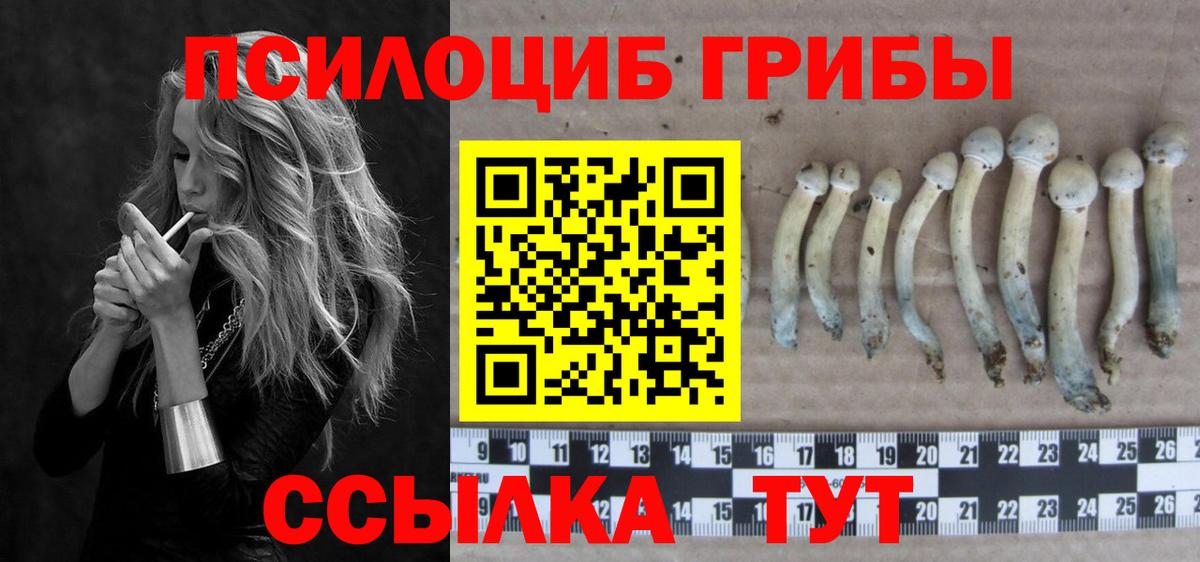 Югорск  Псилоцибиновые грибы Psilocybe  Вход с VPN  Галлюциногенные грибы Cubensis 